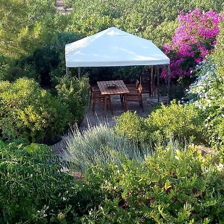 Villa Aegina'S Oasis Exterior foto